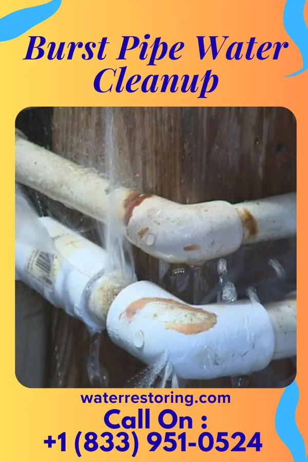 Burst Pipe Water Cleanup in Georgetown, DE