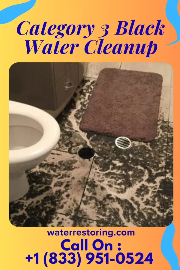 Category 3 Black Water Cleanup in Georgetown, DE