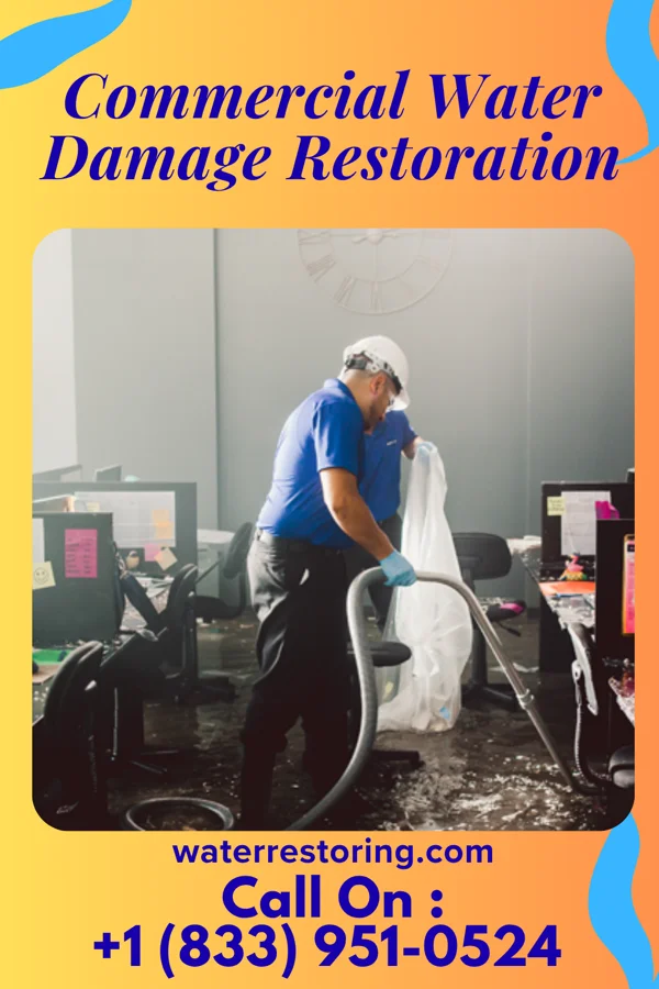 Commercial Water Damage Restoration in Georgetown, DE