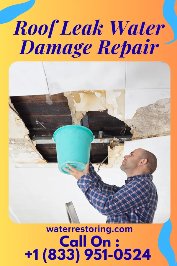 Roof Leak Water Damage Repair in Georgetown, DE