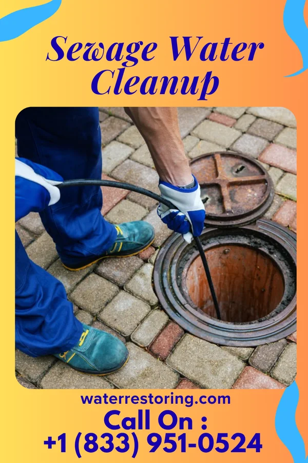 Sewage Water Cleanup in Georgetown, DE